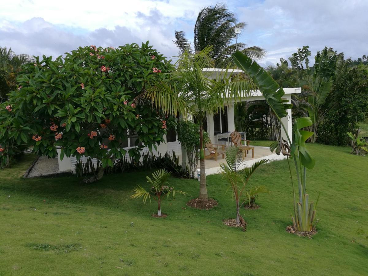 Domaine Vista Linda La Casita Del Loma Vista Mar Río San Juan Exterior foto